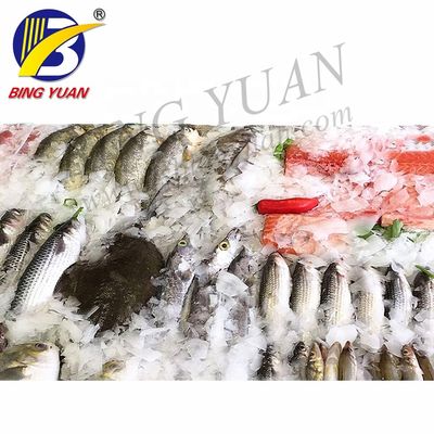 가장 낮은 가격 완전 자동 0.5T/Daily 플레이크 제빙기