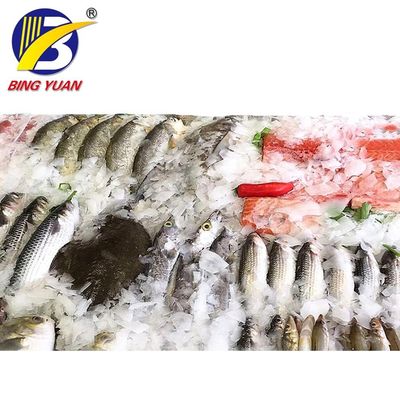 220V 얼음 입자 성형기