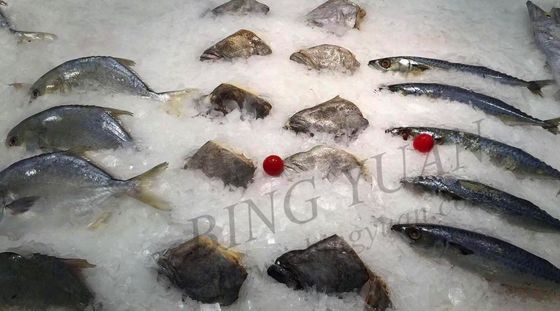 30대 톤 하루 생산 능력 박편빙 기계, 에너지 절약 자동 얼음 생성 장치
