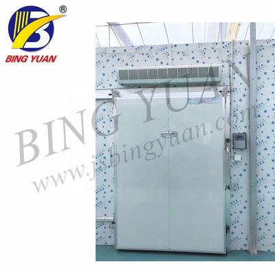 과일과 야채를 위한 200KW 200 밀리미터 R22 450V 냉장고 룸