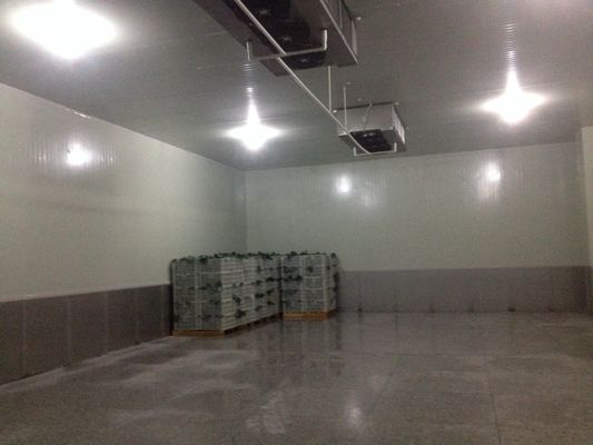 20m2 R404A 냉각기 냉각 장치, 작은 냉장고